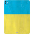 Ukraine Flag Distressed iPad Pro 13in M4 (2024) Skin